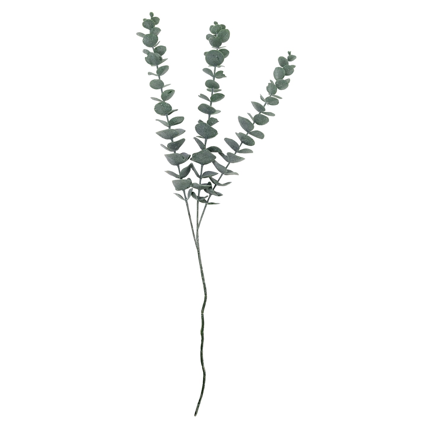 Freigestellter 3er Bund künstlicher Eukalyptuszweige auf weißem Hintergrund Gesamtansicht