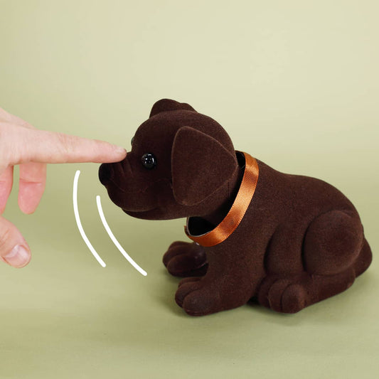 Dackel mit wackelndem Kopf