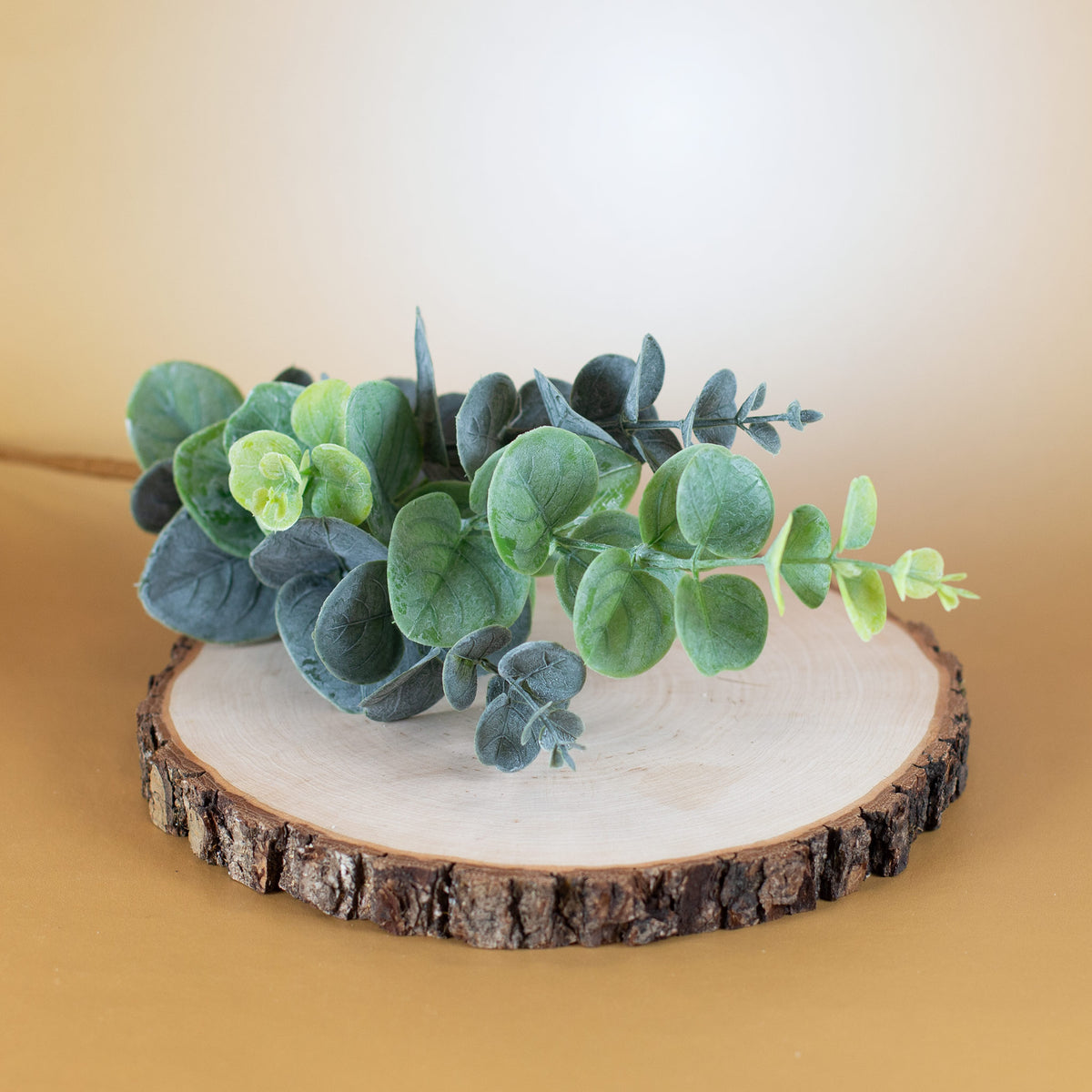 Künstlicher Eukalyptus Zweig als Dekoration