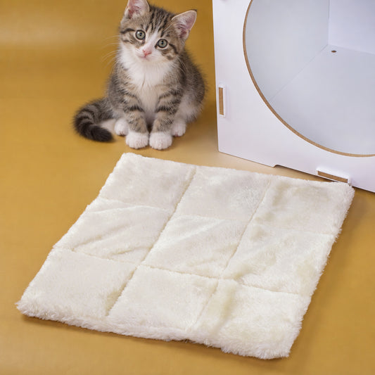 ALULA Liegekissen 30 × 30 cm mit flauschiger Oberfläche neben Katze und KALLAX Regal