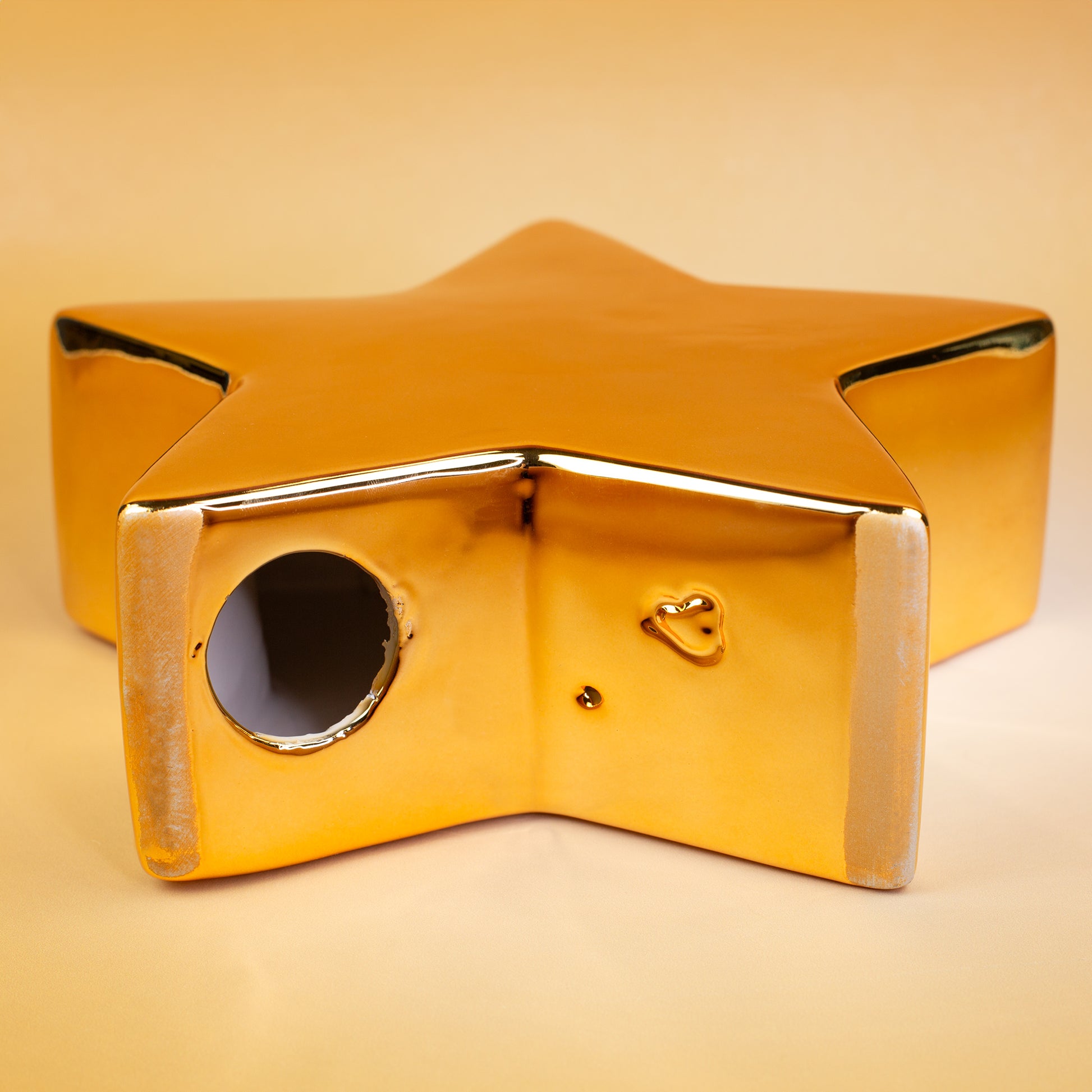 Detailfoto goldener Stern von Leonardo