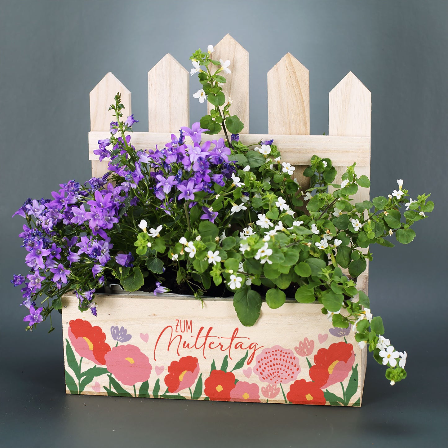 Pflanzkorb mit violetten Blumen und Zaun als Muttertagsgeschenk