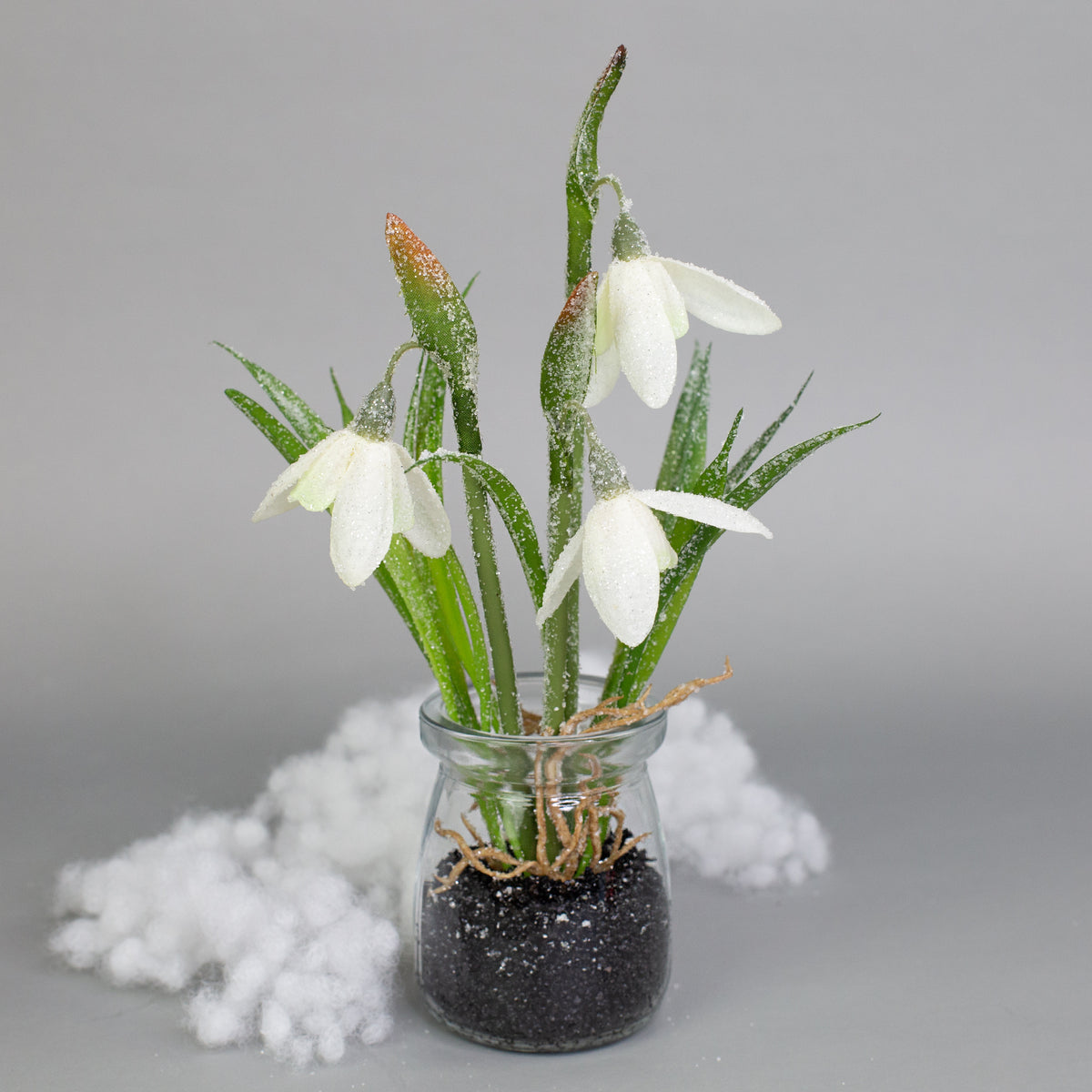 Zarte Schneeglöckchen im Glas mit Schnee und Morgentau