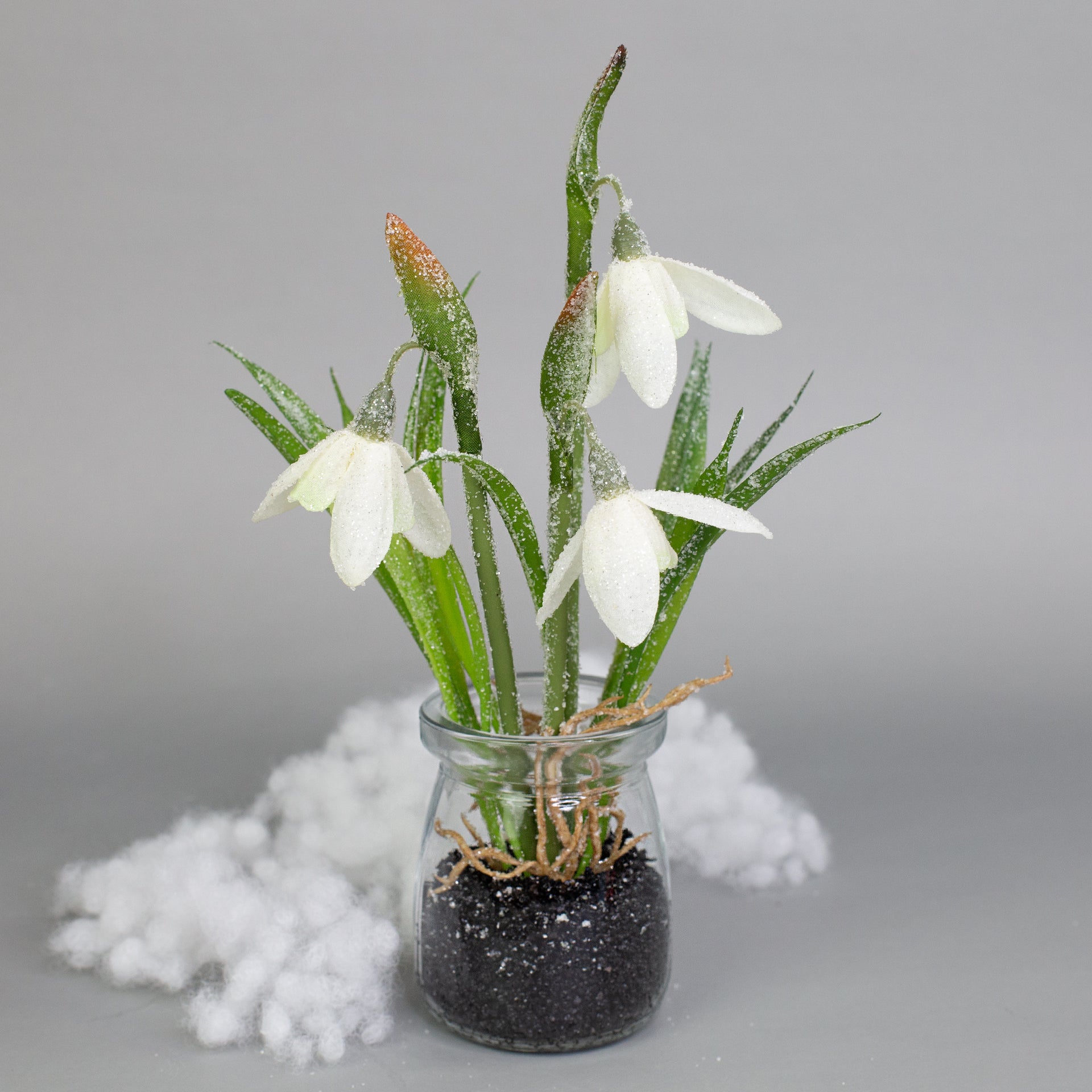 Zarte Schneeglöckchen im Glas mit Schnee und Morgentau