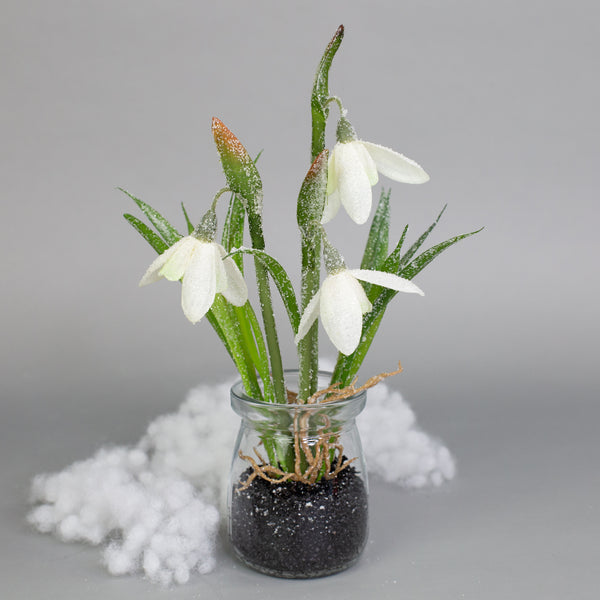 Zarte Schneeglöckchen im Glas mit Schnee und Morgentau