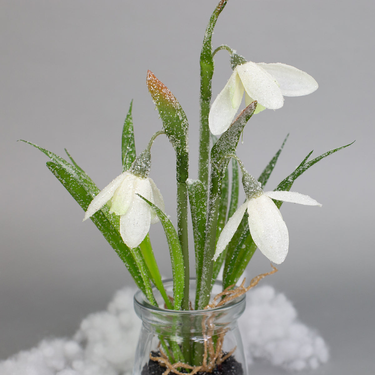 Zarte Schneeglöckchen im Glas mit Schnee und Morgentau